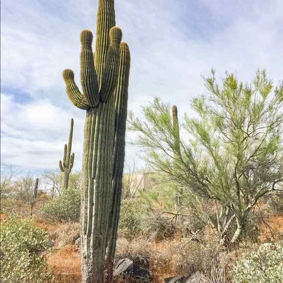 Meet your Posher, Marabelle - Picture 6 of 8